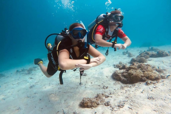 Scuba Diving